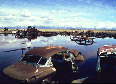 Junk Yard with 1950s cars submerged in water 8 x 10  Photograph
