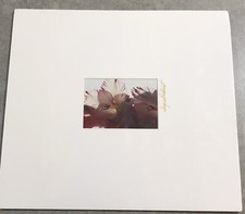 Gladiolas Priscilla Suzanne Parkhurst Pensacola FL Photography Matted Art 