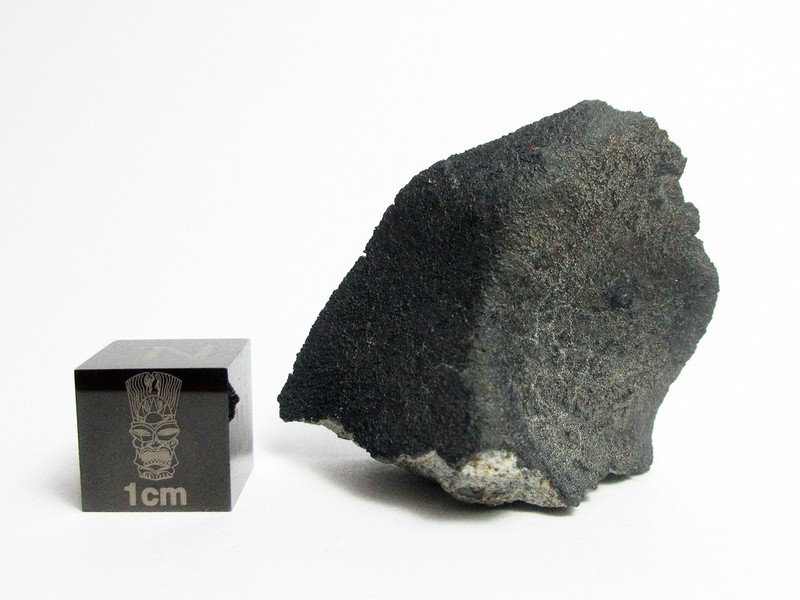 Tana River 10.84g Crusted Endcut from December 24, 2025 Fall 