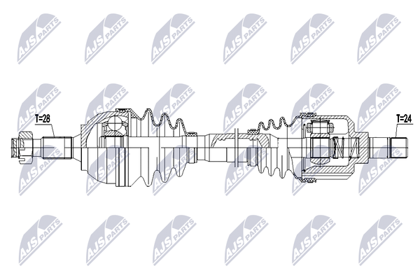 NTY NPW-CT-144-image