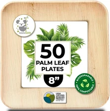 Palm Leaf Plates Bamboo Paper Plate Disposable 8 8 (50 Plates), B-50 