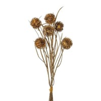 artplants Deko Kugeldistel Bund Tarfo, Trockenoptik, Braun, 45Cm