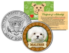 MALTESE Dog JFK Kennedy Half Dollar US Colorized Coin
