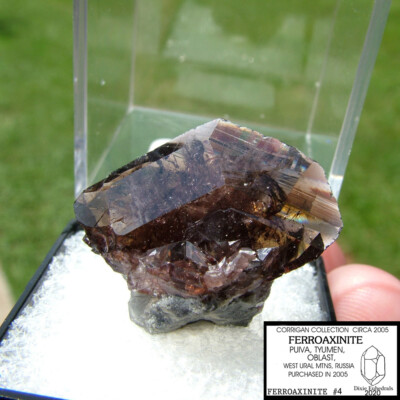 FERROAXINITE CRYSTAL Puiva, Tyumen, Oblast,  Ural Mtns. RUSSIA  in perky box 