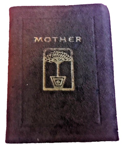 Vintage Burgess & Bowes Midget Series Dictionary 