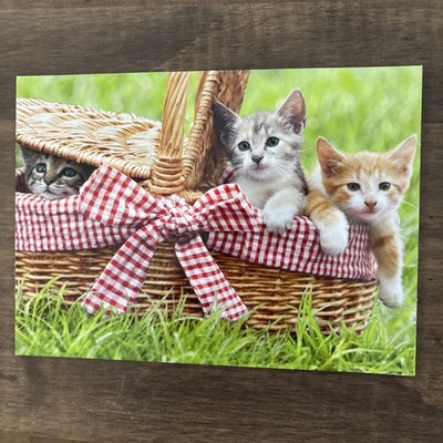 Avanti Greeting Card  A Basket Full Of Thanks  Kittens