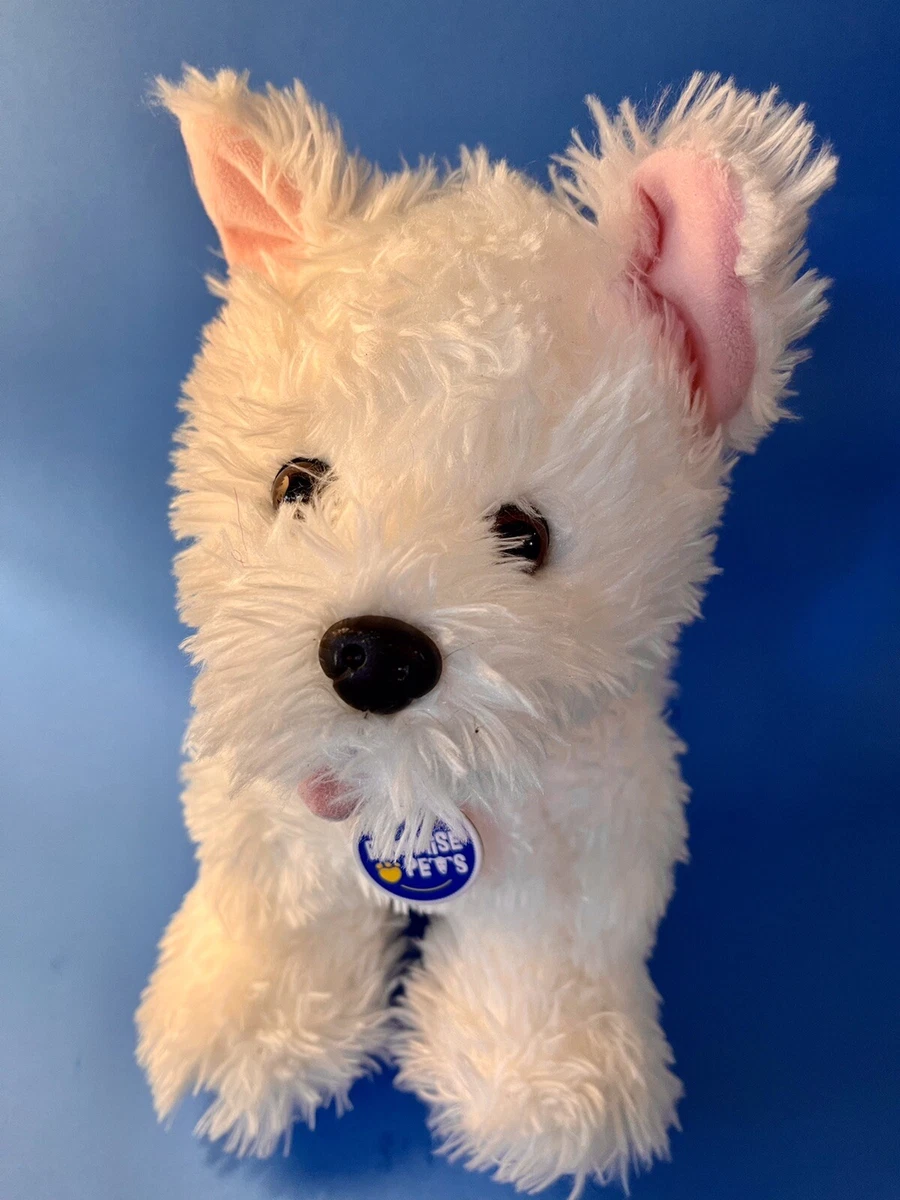 Build a sale bear westie