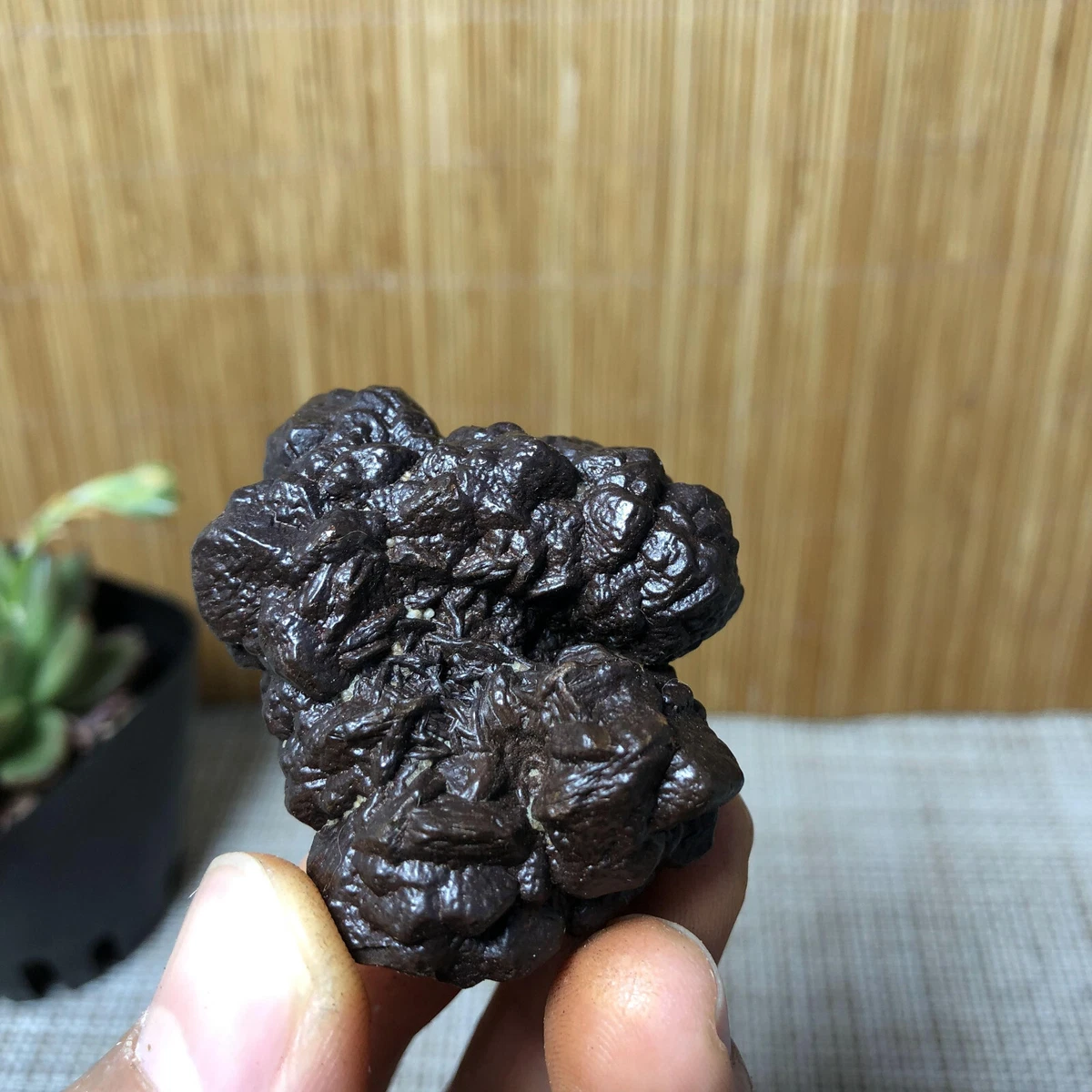 44mm Rare Carbonado Black Diamond Rare Specimen FREE SHIPPING 52g