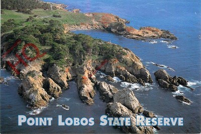 Ansichtskarte> Point Lobos State Reserve