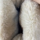Bild 6 von 9