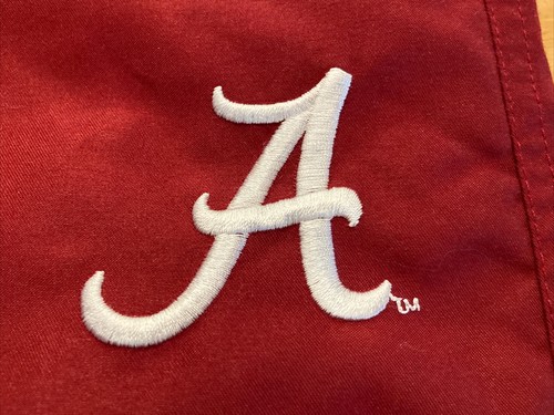 Nike Team Alabama Crimson Tide Track Sweatpants Lined Youth Boys XL Fits 30 x 31 - Picture 2 of 12