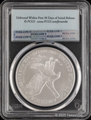 2024 $1 Silver American Eagle First Strike PCGS MS70 - Blue Flag
