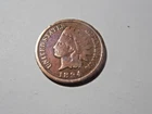 1894 Indian Head Penny in Good condition.  But you decide!!!!!