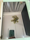 Bild 6 von 9