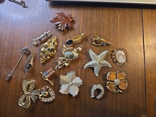 Vintage Lot Of Brooch Pins Jewelry Costume