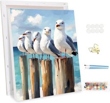 Framed Paint by Numbers Kits for Adults Animals Seagulls, DIY Acrylic Paint b