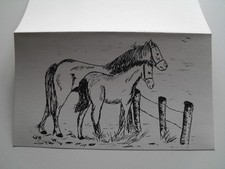 Postcard / Greeting Card "70s/80s" Two Horses (Colouring Page)
