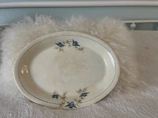Vintage Ironstone  Platter Serving Dish Blue Bird  14 1/2X 10 1/2” C.P. And Co.