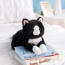 Weighted Stuffed Animal Cat, 19 Inch 2Lbs Realistic Plush Toy, Ultra Soft Bla...