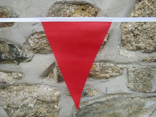 Red Triangular Coloured Flag Polyester Bunting - Premium Quality - Picture 21 of 63