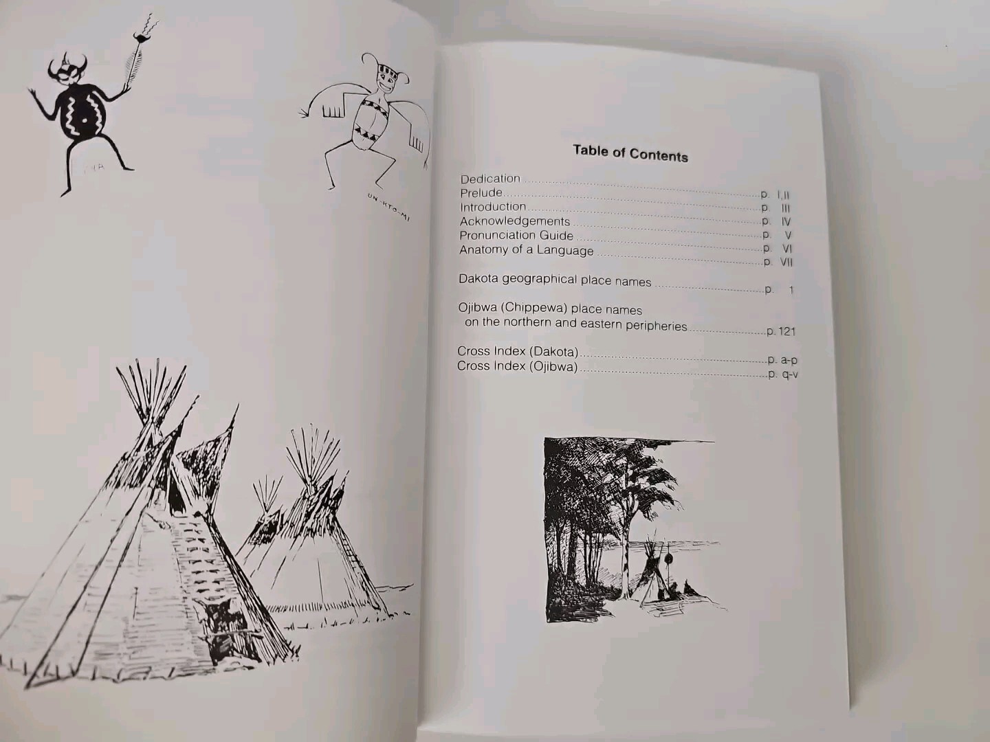 Foto 5 di 7