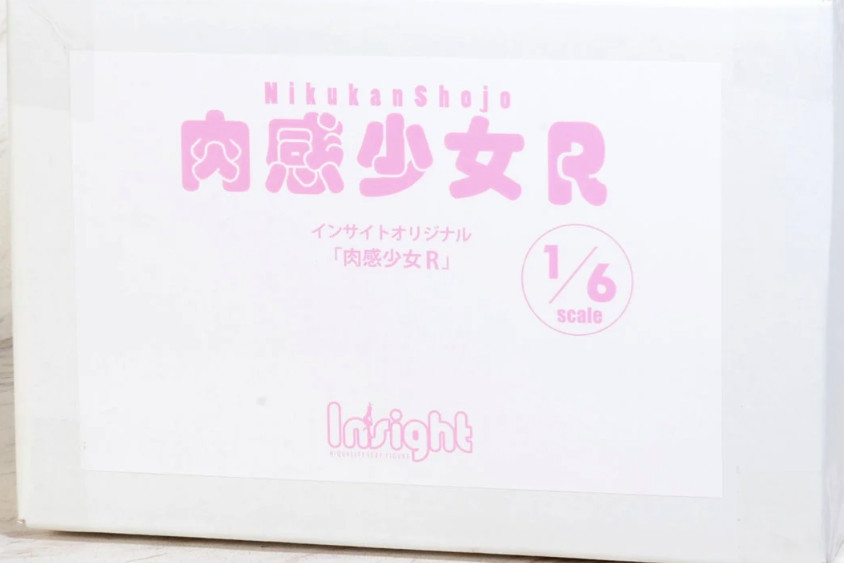 Insight Official Nikkan Girl R 1/6 scale Height 152mm painted figure Japan 2021