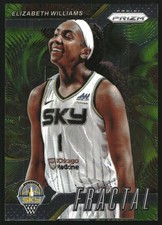 2024 Panini Prizm WNBA Fractal #14 Elizabeth Williams - BSK