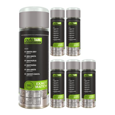 Autotek schnelltrocknender hochdeckender Aerosol-Sprühlack Audi Dakota grau 300 ml x6