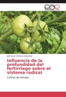Julio Cesar Centeno CahueñAs | Influencia De La Profundidad Del Fertirriego...