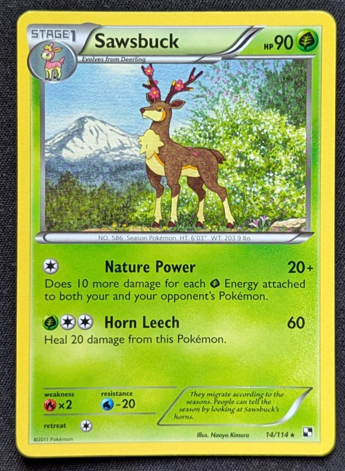 Pokemon - Sawsbuck 14/114 - Black & White Base Set - Non Holo Rare - Near Mint