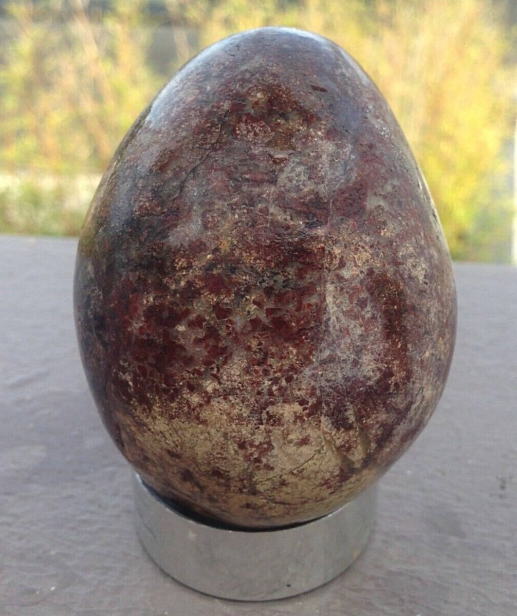 Bild 6 von 11