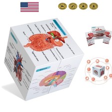 Anatomy Study Cube - 9 Detailed Parts in Creative Design, Perfect Medical Gift