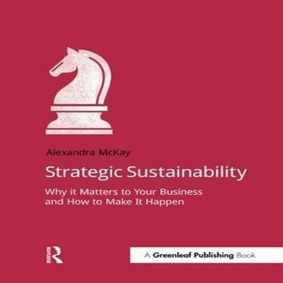 Strategic Sustainability Why it matters to your business and how