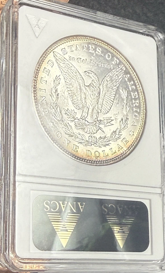1885 Morgan Silver Dollar – ANACS MS64 – Bright Luster – Clean Reverse - Image 3 of 4