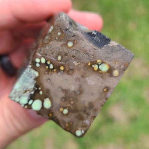 NATURAL STAR FOX VARISCITE GREZZO NEVADA 103,9 GRAMMI - Foto 6 di 7