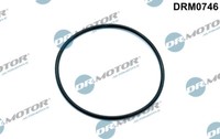 Dr.Motor Automotive DRM0746 Gasket, Vacuum Pump For Audi Seat Skoda VW