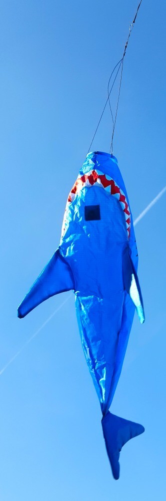 Bild 3 von 5