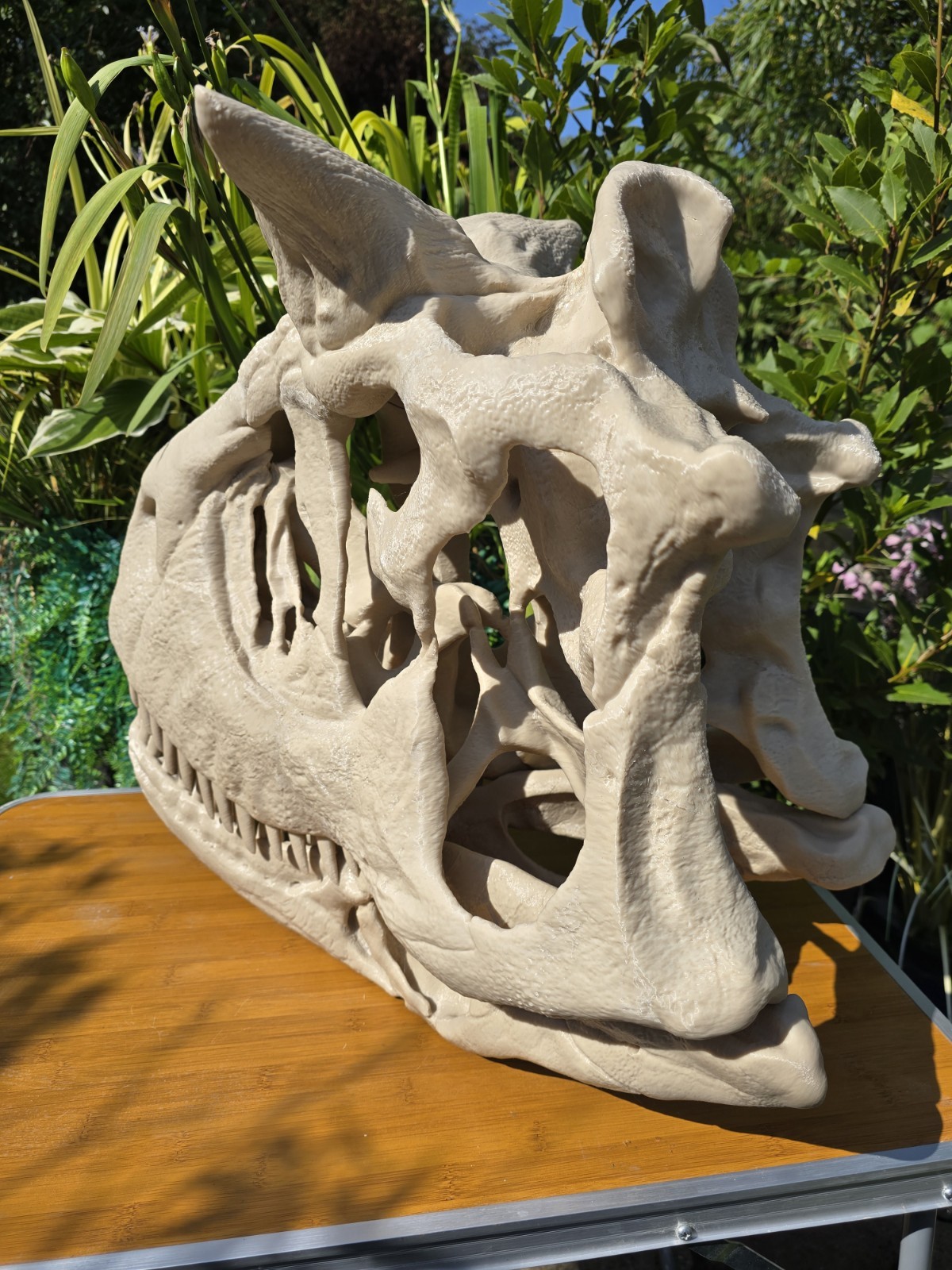 Life-size CARNOTAURUS skull Replica, Fossil