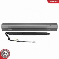 Elektromotor Heckklappe Esen SKV 52SKV179 FüR BMW X5 F15 F85 Sdrive Xdrive 40E