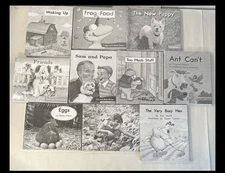 120 Books Fountas & Pinnell Green Leveled Literacy Take-Home Books 1-30 & 41-130