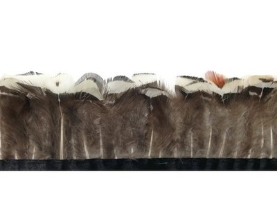 Pheasant Feathers 1 Yard White Lady Amherst Pheasant Feather Trim