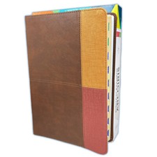 Biblia Pastoral Arco Iris de Estudio Reina Va...