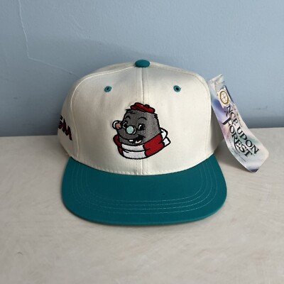 Vtg 90s Once Upon A Forest Edgar Spell Out Snapback Hat YOUTH 1993 NWT