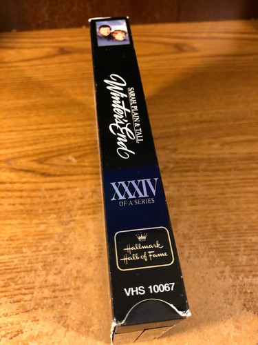 Winter's End VHS VCR Video Tape Movie Used Gl;enn Clone - Picture 4 of 6