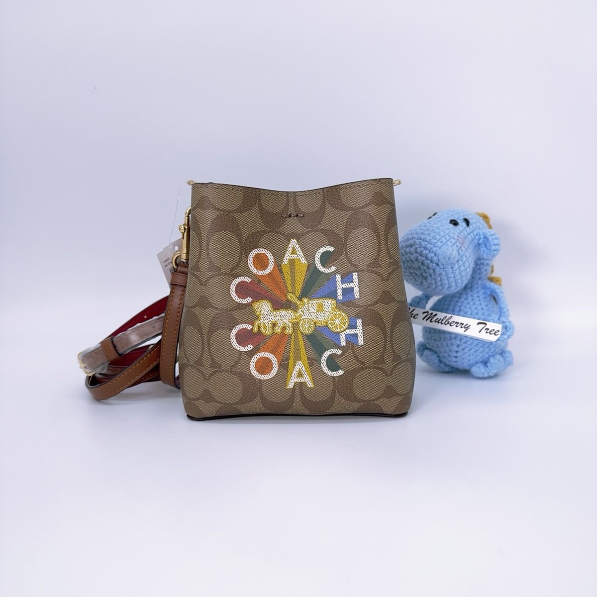 Coach C6835 Mini Town Bucket Bag Signature Canvas Radial Rainbow