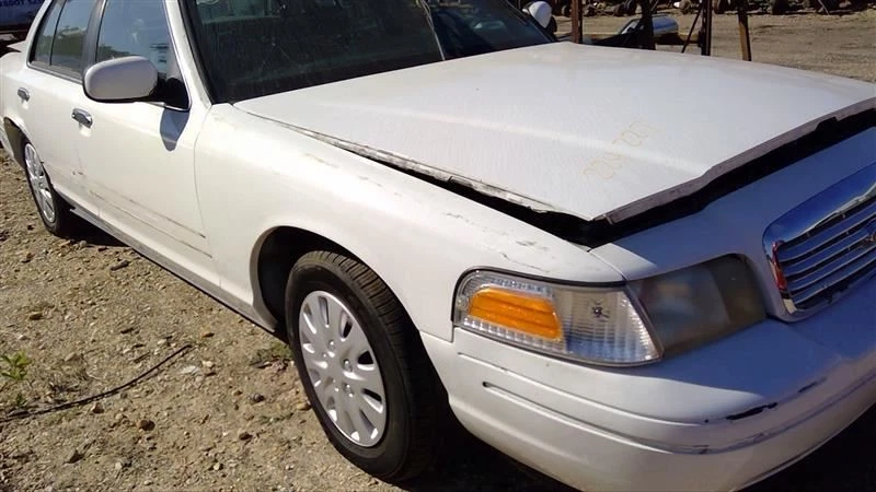 (LOCAL PICKUP ONLY) Hood Fits 98-11 CROWN VICTORIA 1157157 Foto 2 de 4