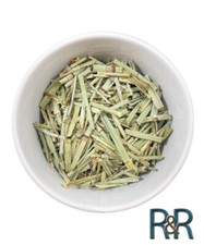 Mexican Cola De Caballo Field Horsetail Equisetum arvense Fresh Batch Herbs