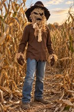 Boys Youth XL 12-14 Wicked Scarecrow Halloween Costume Hat Mask/Rope Gloves Top