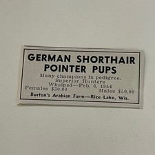 Burton's Arabian Farm Pointer Pups Rice Lake WI 1954 Magazine Ad SAH2-S9