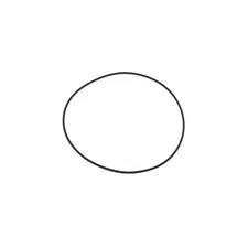 Polaris Hi Temp O-Ring, for Snowmobile Models, Genuine OEM - 5413319